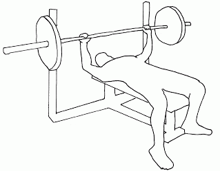 Bench Press