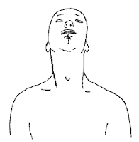 Hyoid Stretch