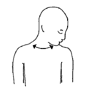 Neck Flexion and Rotation