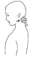 Neck Postural Strengthening
