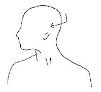 Neck Rotation Stretch