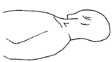 Neck Rotation Supine