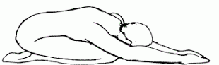 Prone Knees Up Flexion