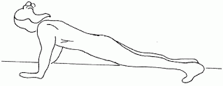 Push Ups