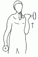 Shoulder Bicep Curl Dumbbell
