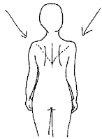 Shoulder Blade Setting Scapula Stabilisation