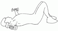 Shoulder Dum Bell Horizontal