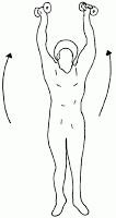 Shoulder Dumbbell Abduction