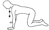 Shoulder Press Up all fours