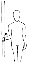 Shoulder Resisted External Rotation