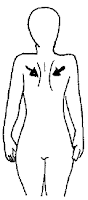 Shoulder Retraction Rhomboid