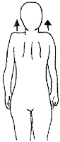 Shoulder Shrug Upper Trapezius Strengthening