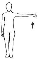 Shoulder Strengthening Lateral Lift