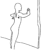 Shoulder Wall Push Ups Scapula Stabilisation