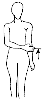 Shoulder strengthening Resisted Flexion