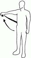 Theraband Shoulder Elevation