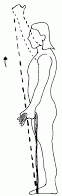 Theraband Shoulder Elevation